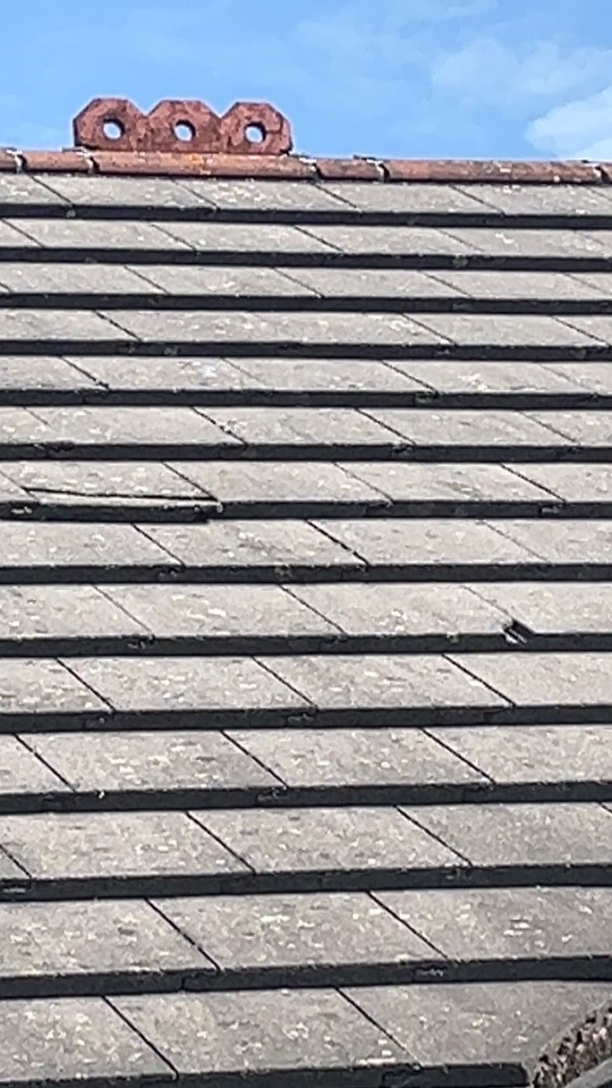 Close-up of a weathered slate roof ahead of repair