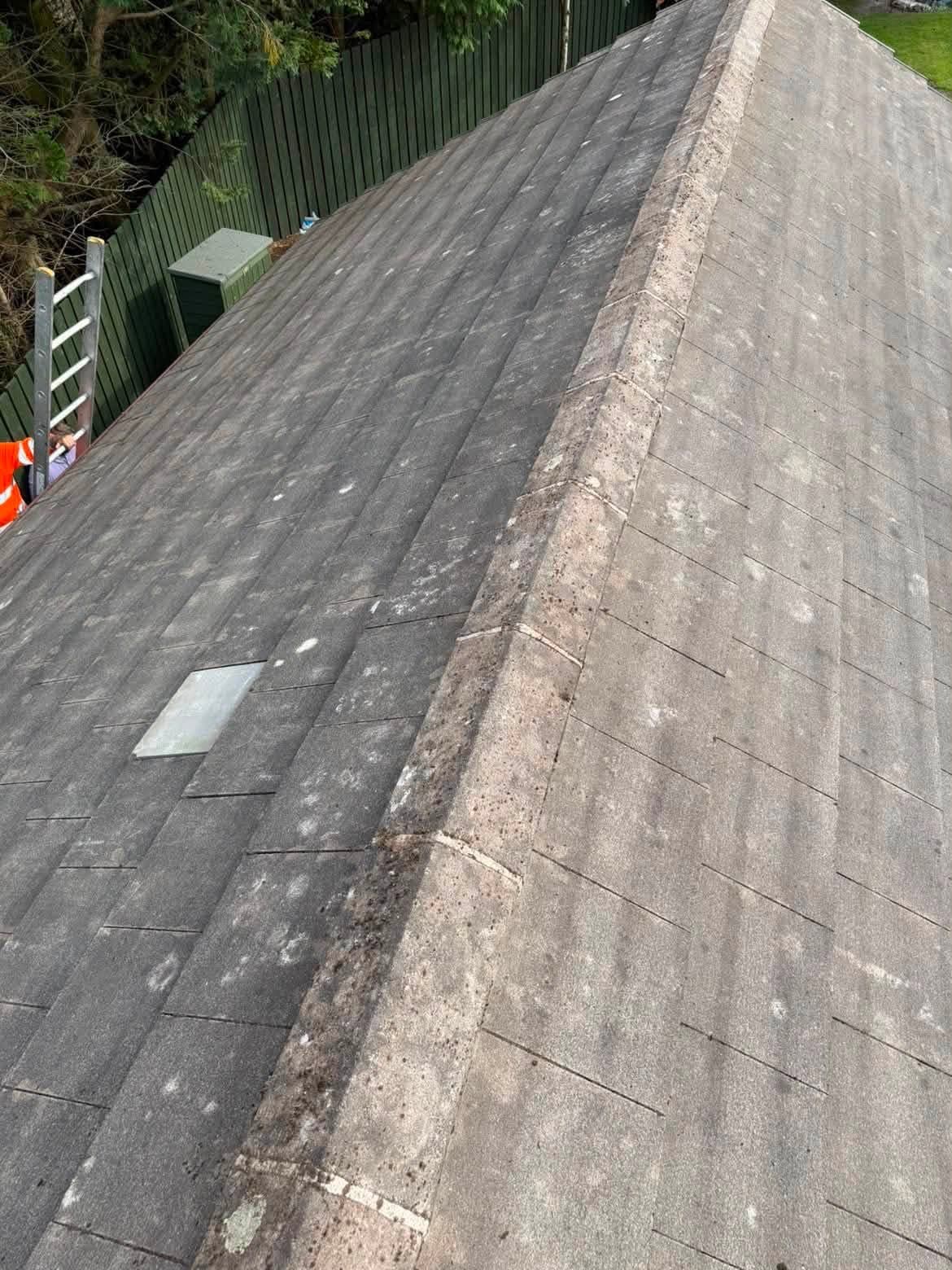 Roof hip and slope cleared of moss after cleaning
